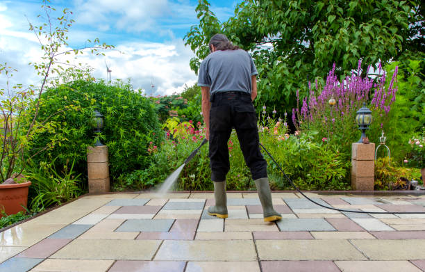 Best Gutter Cleaning  in Stepping Stone, CO